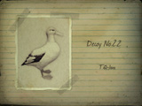 Decoy No.22