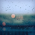 Plum Rain